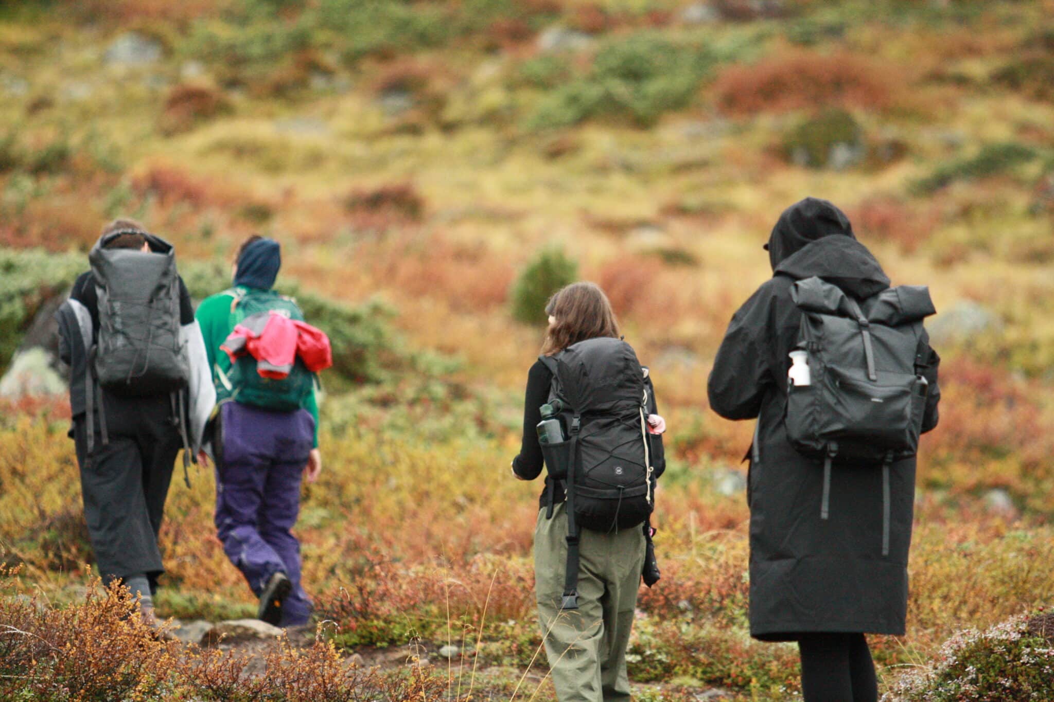 People walking in nature.