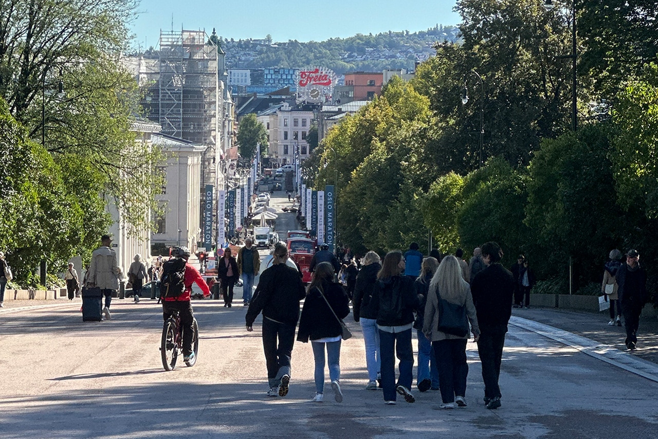 A picture taken from the Royal Castle towards Oslo centre